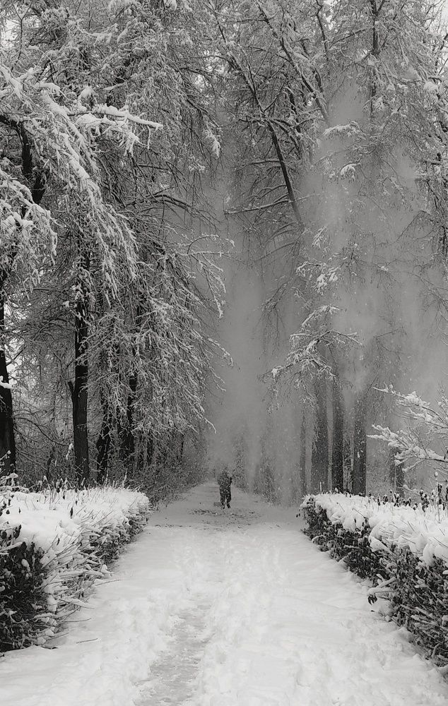 Photograph by Орынбек Асилбаев