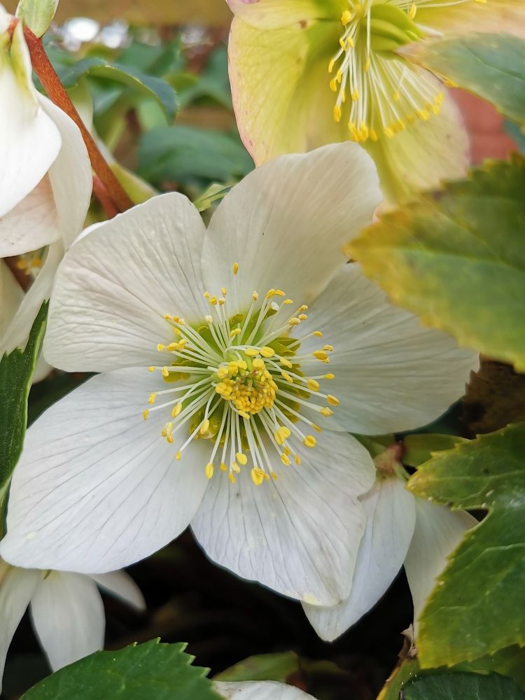 Photograph by Marie-Helene KUHN