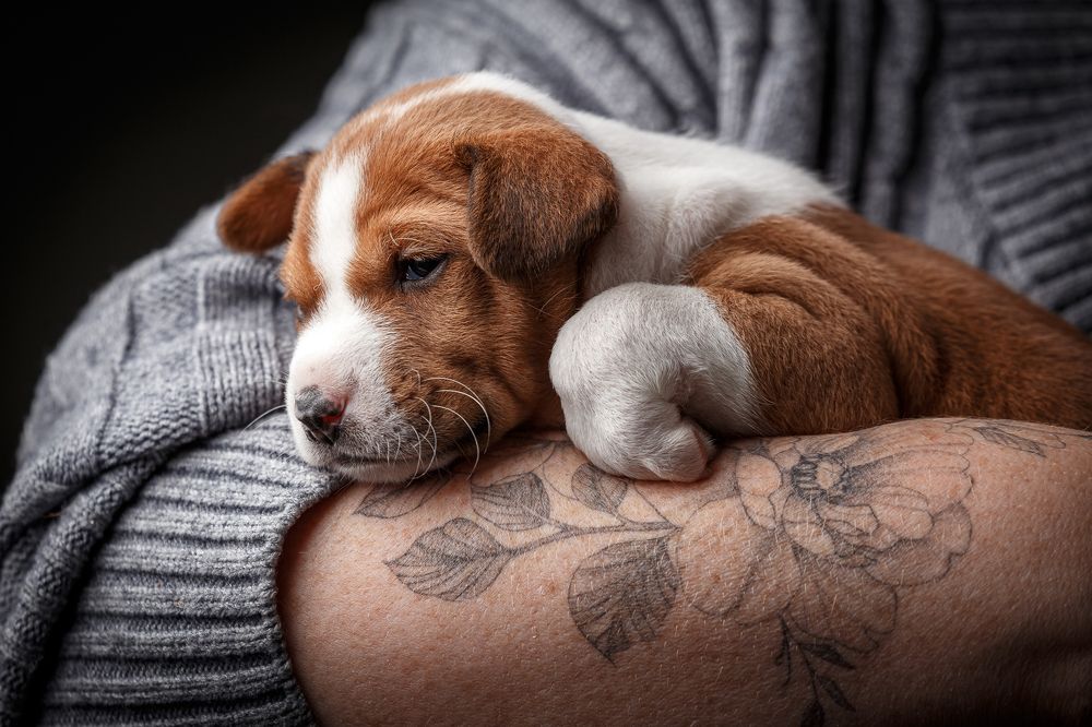 Фотография автора Иван Вострецов