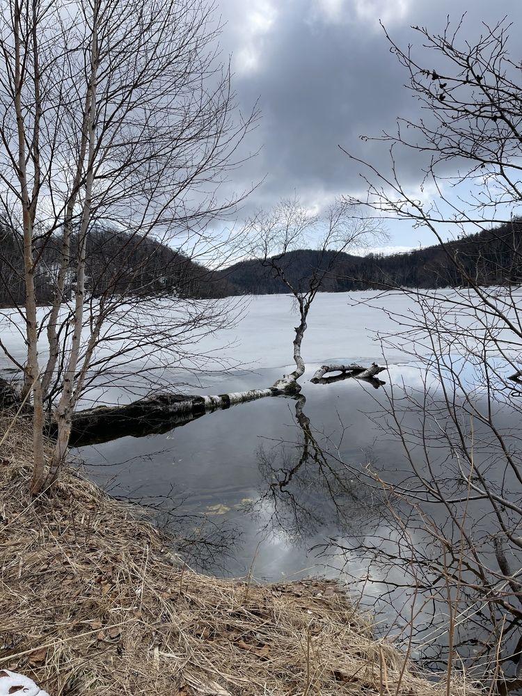 Photograph by Надежда Донская