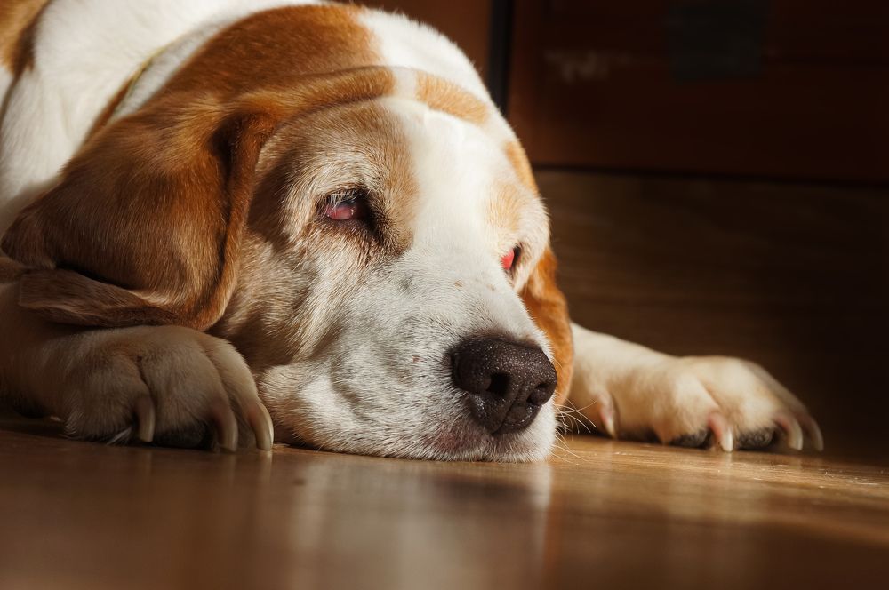 Photograph by Дарья Погонцева