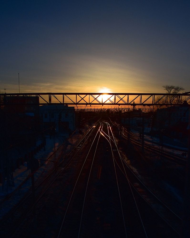 Photograph by Anna Borodina