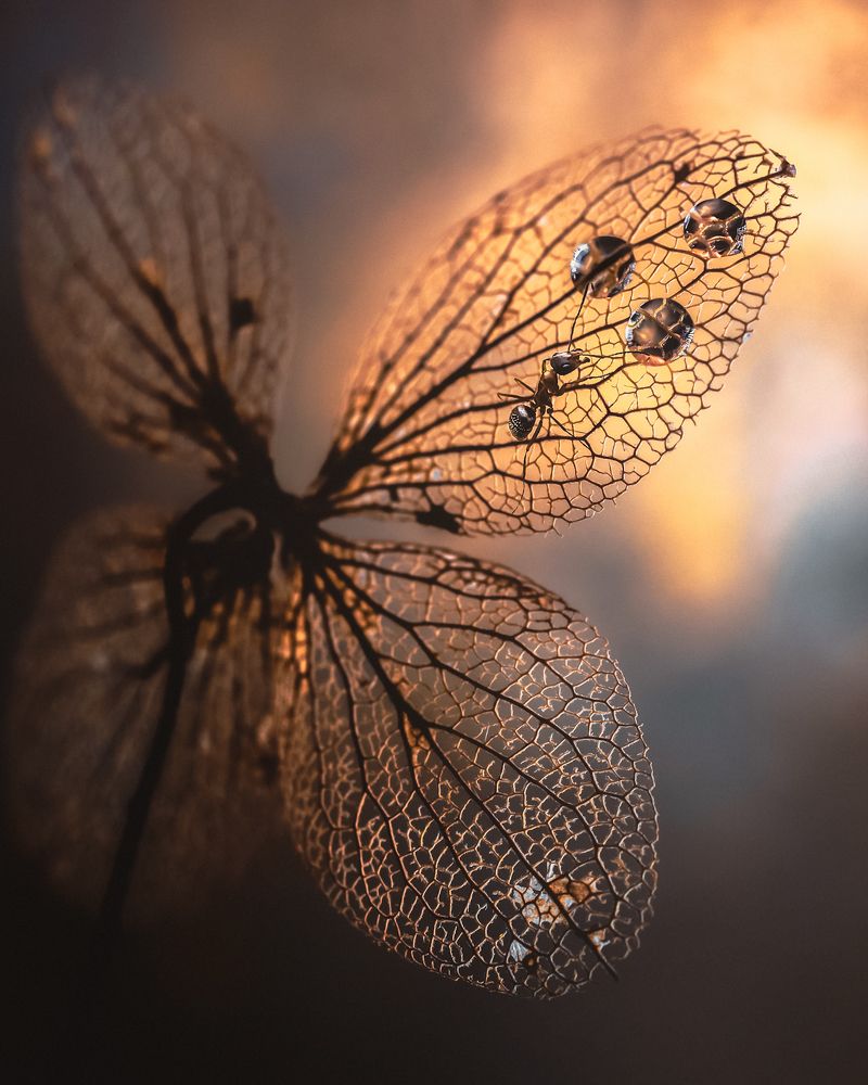 Photograph by Надежда Захарова