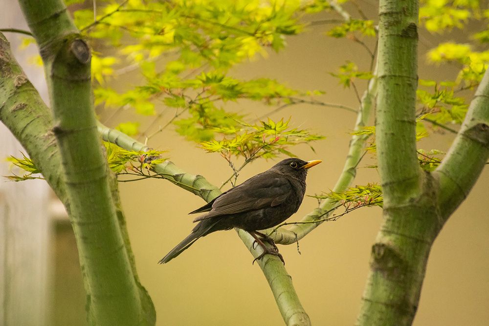 Photograph by Анна Васильева