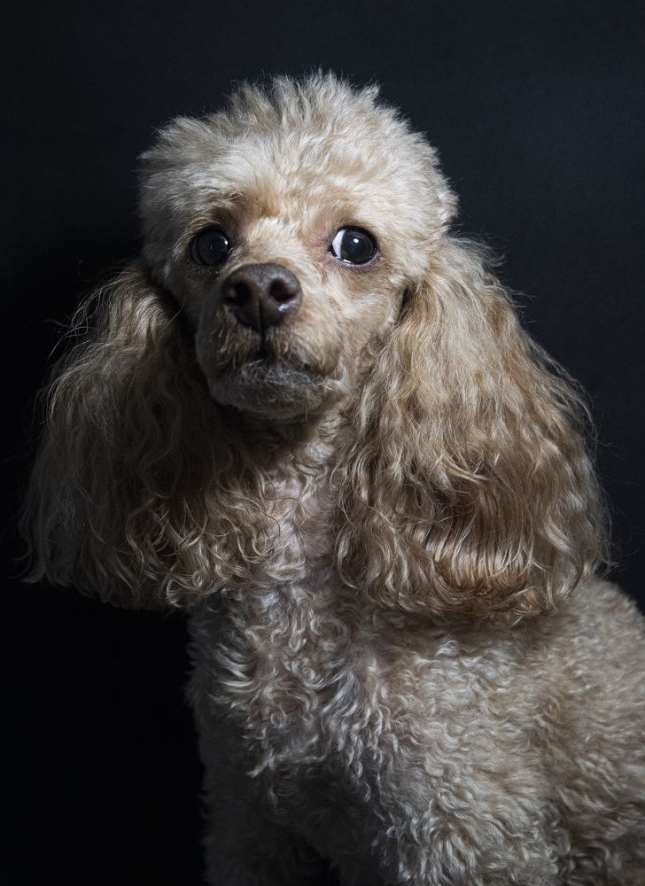 Photograph by Анна Васильева