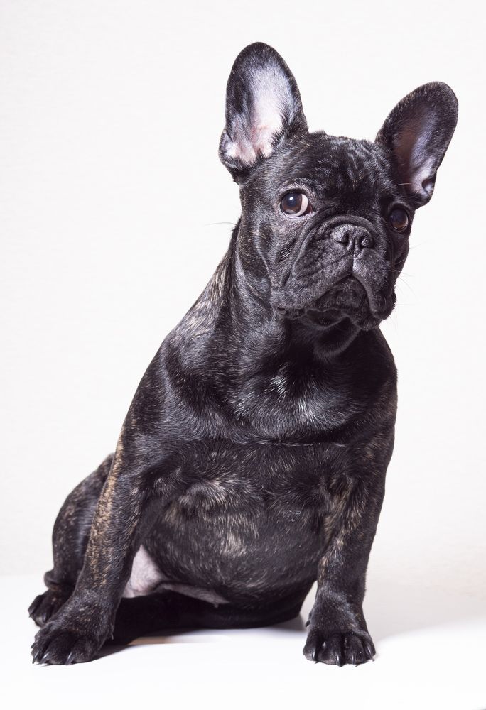 Photograph by Анна Васильева