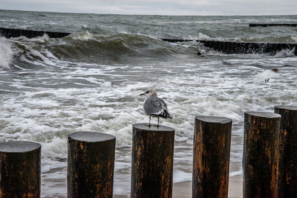 Photograph by Тамара Цилиакус