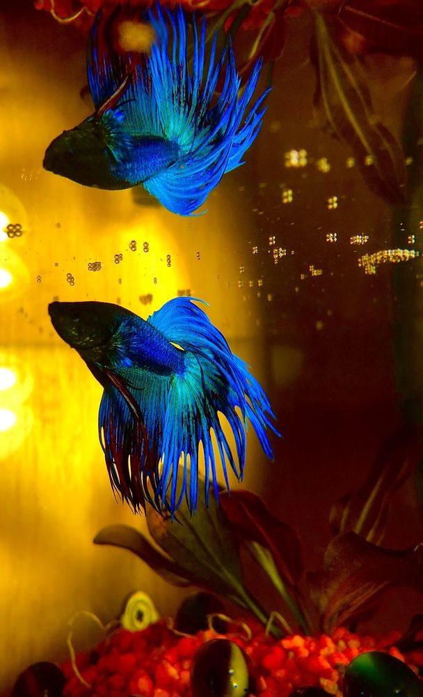 Когда обречён жить один.