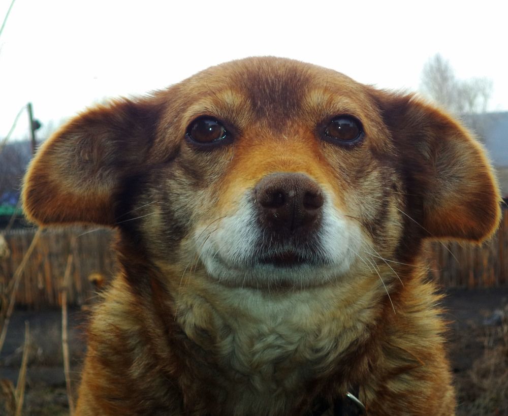 Photograph by Анастасия Старикова