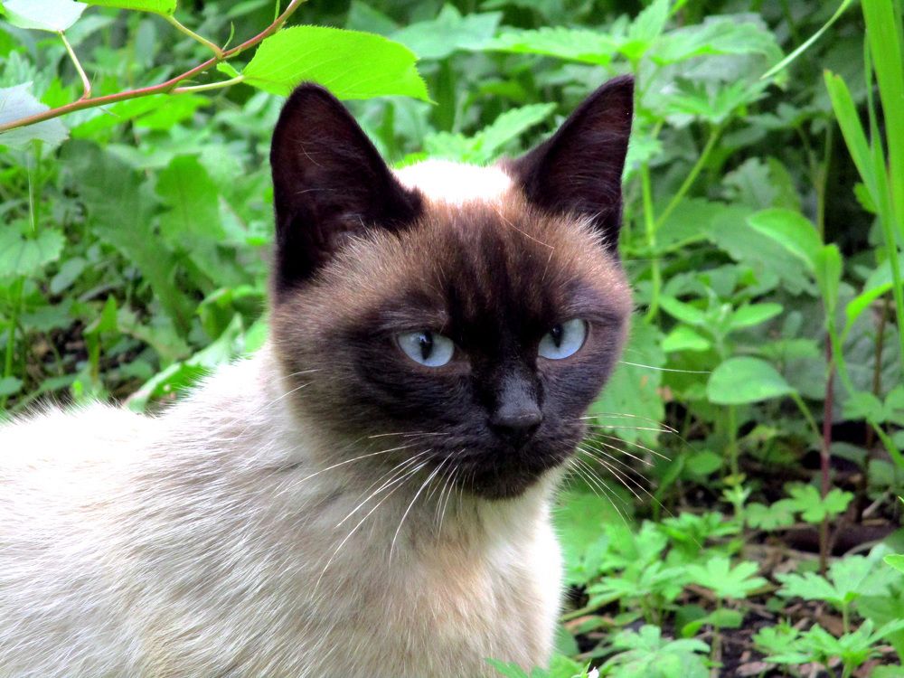 Photograph by Анастасия Старикова