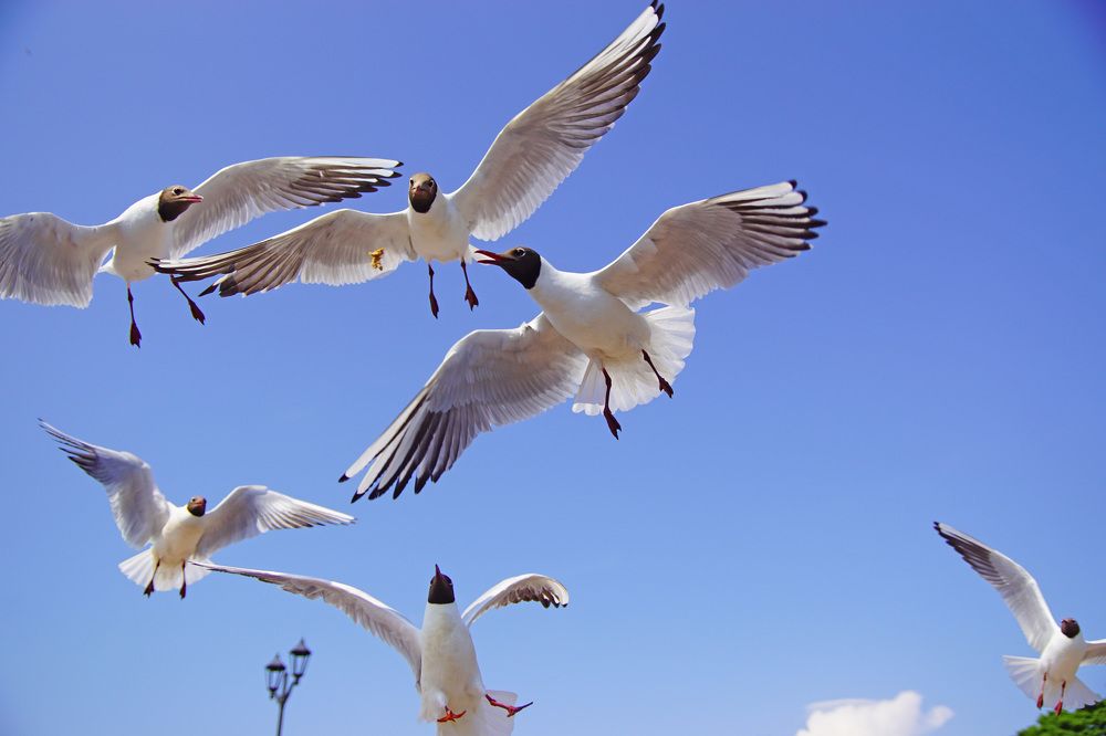 Photograph by Анна Васильева