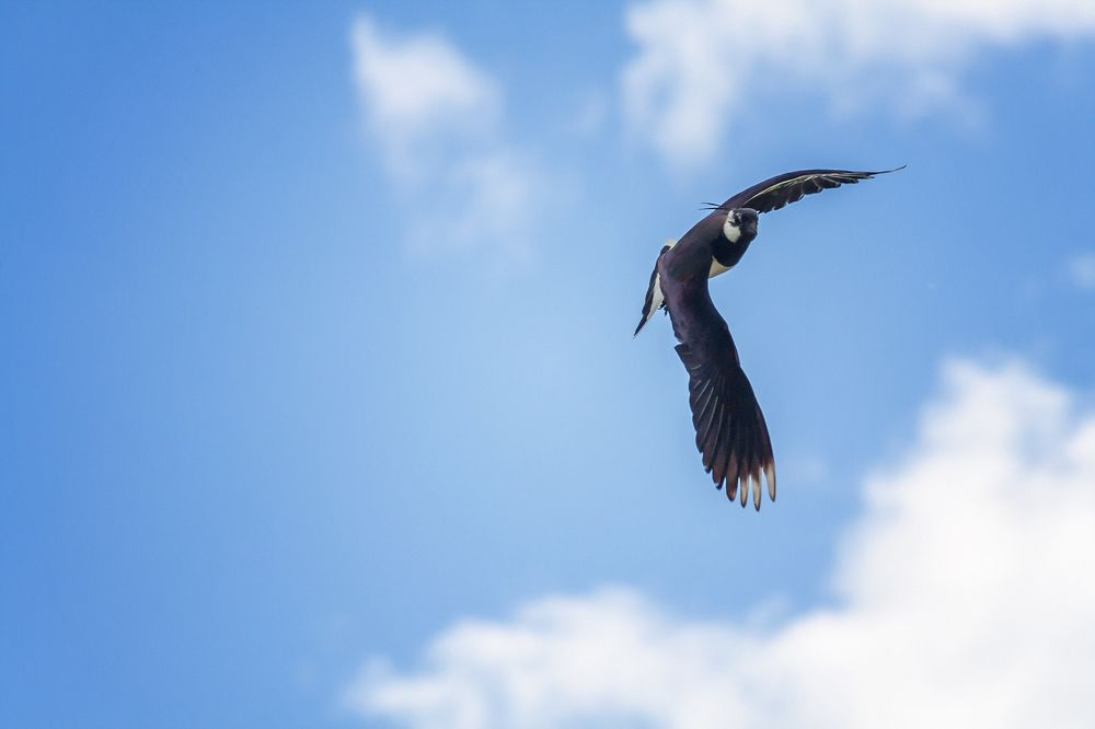 Photograph by Алексей Трифонов