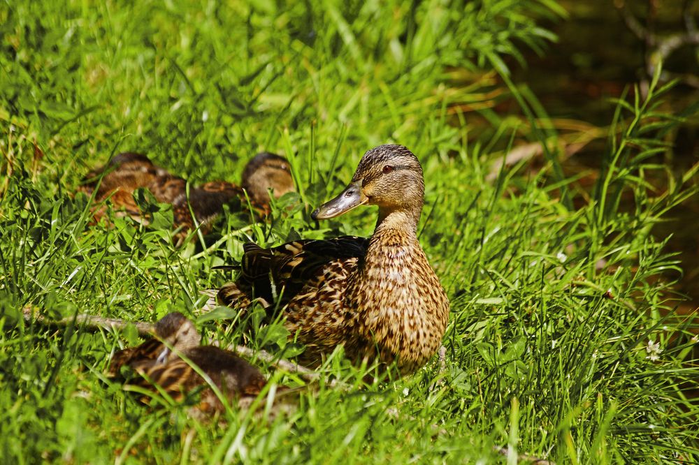 Photograph by Анна Васильева