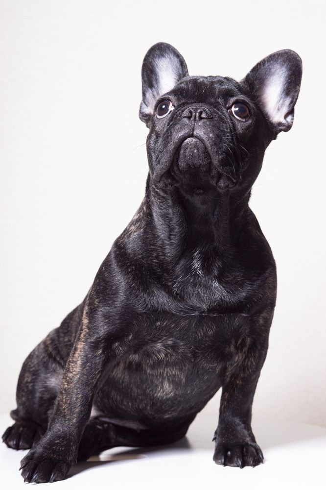 Photograph by Анна Васильева