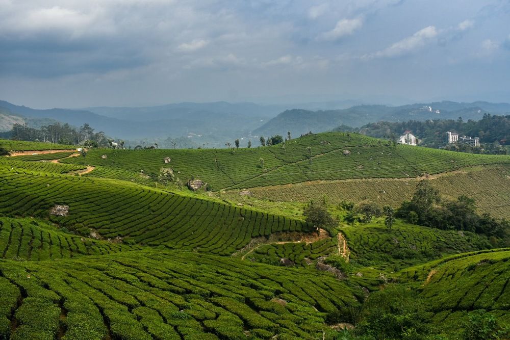 Photograph by Jannatul Ferdous