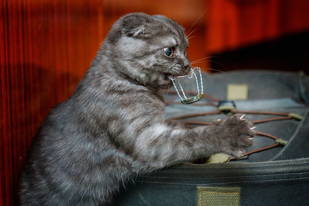 Photograph by Алексей Трифонов