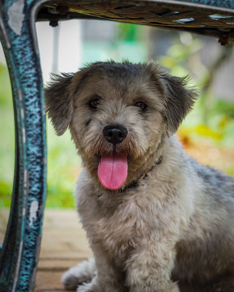 Photograph by Endra Agust