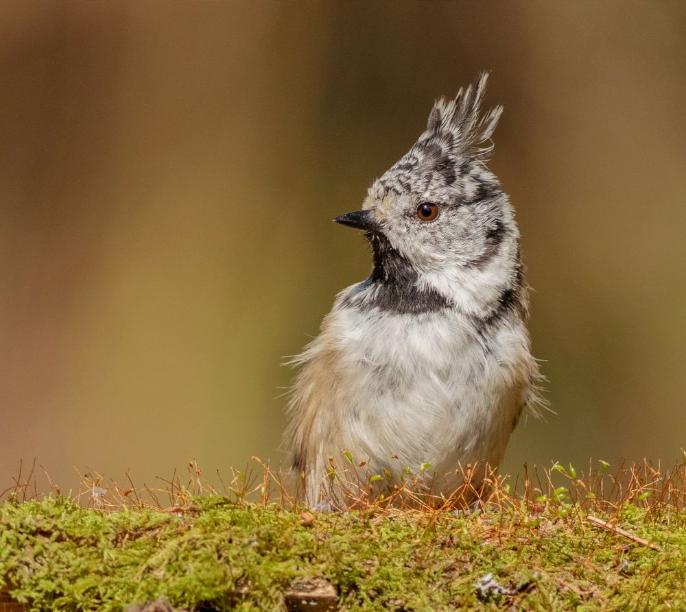 Photograph by Павел Краснослободцев