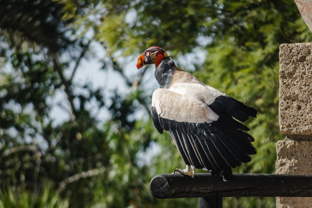 Photograph by Наталья Кокорина