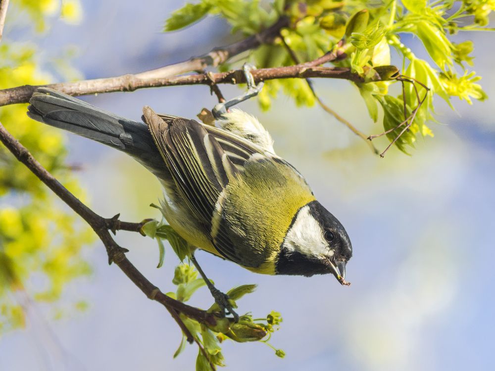 Photograph by Laurentiu Lupascu
