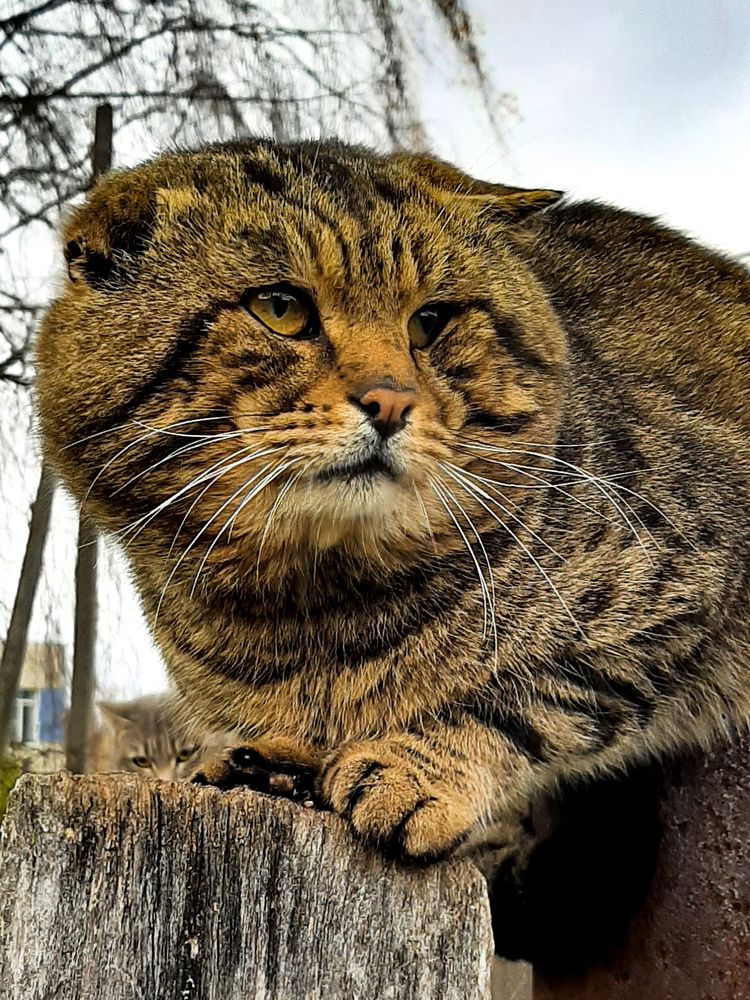 Photograph by Ольга