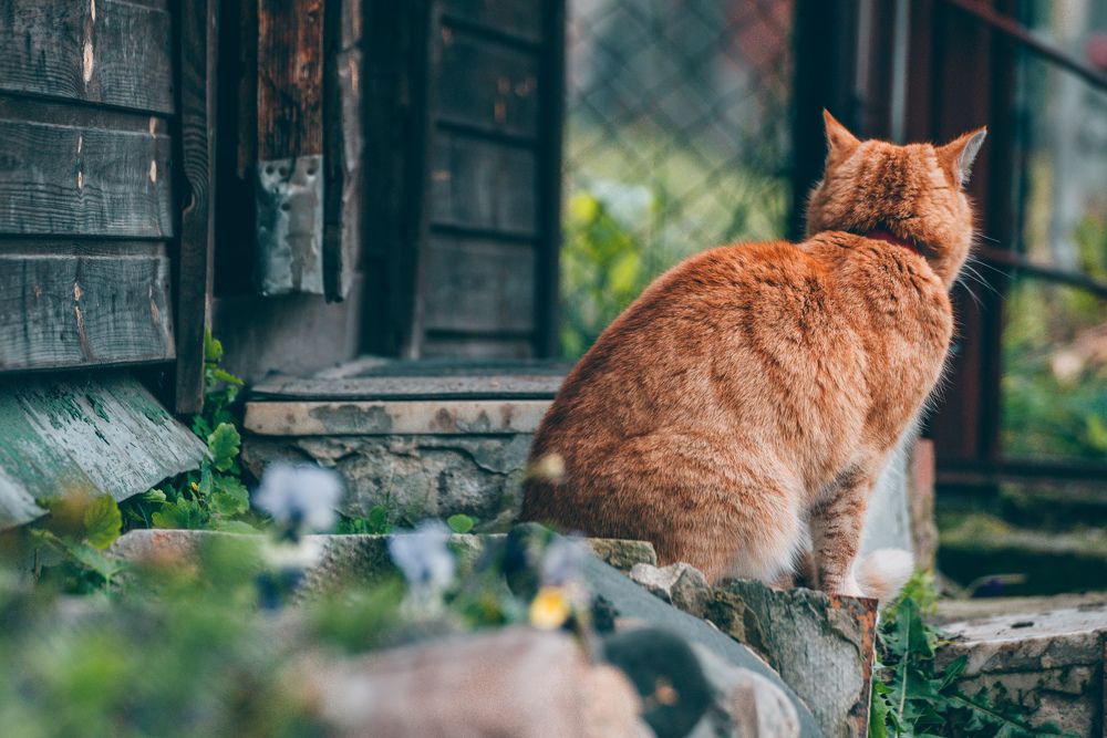 Photograph by Ольга