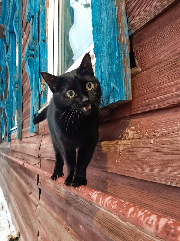 Photograph by Ольга