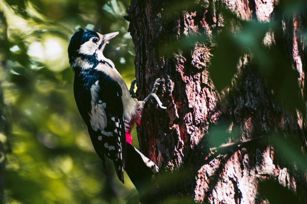 Photograph by Ольга