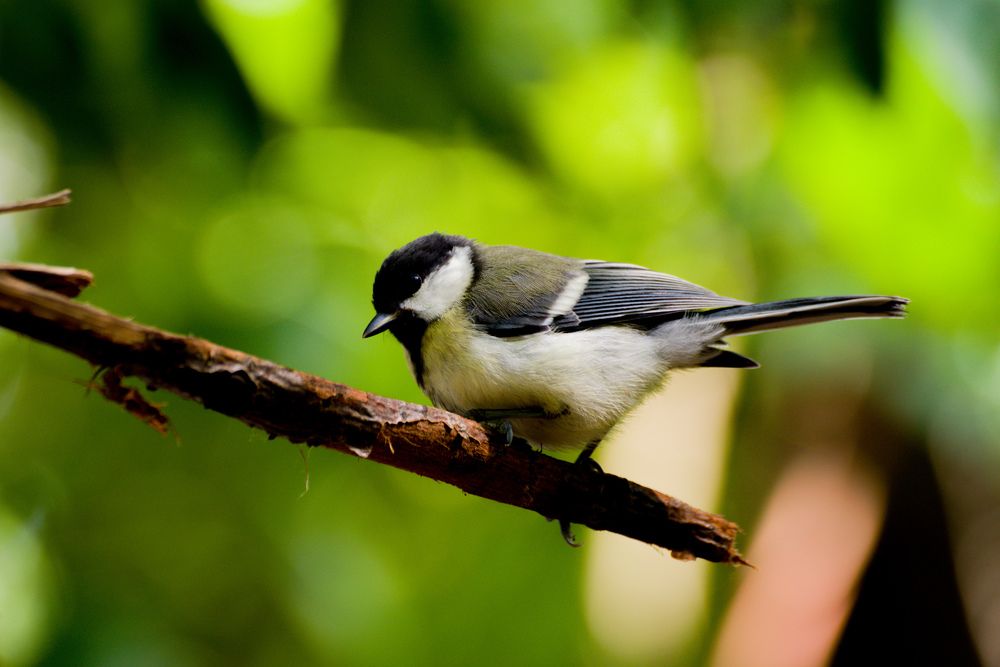 Photograph by Ольга