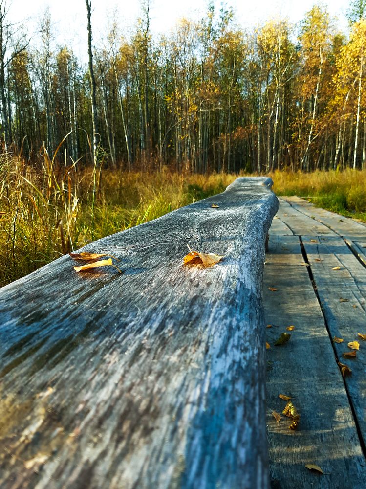 Photograph by Ольга