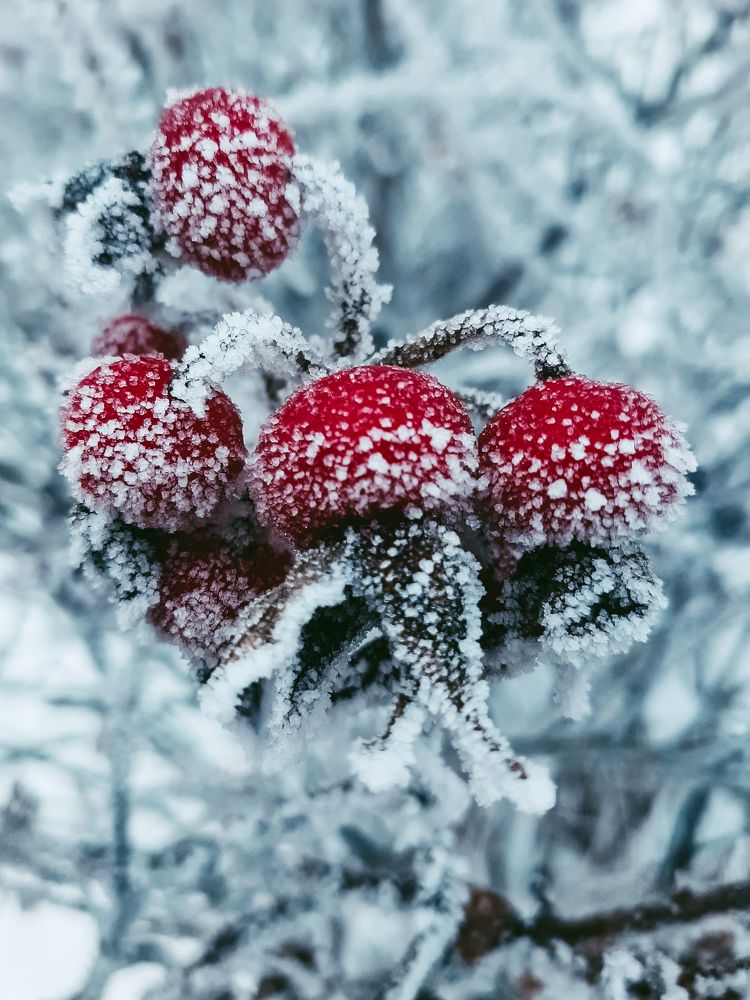 Photograph by Ольга