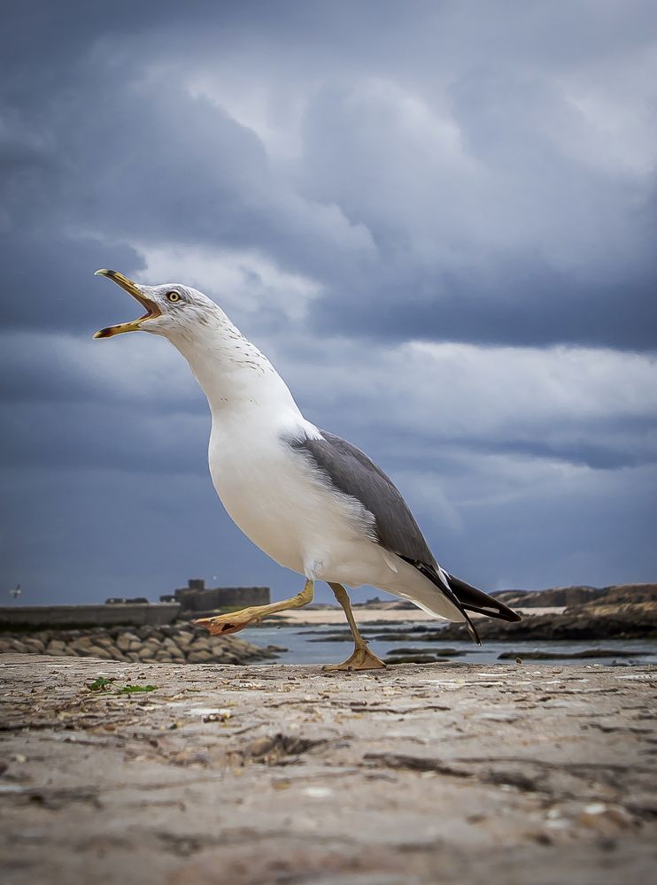 Photograph by Katja Sen