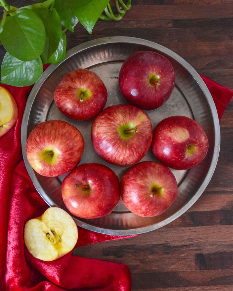 Photograph by Fatemeh Jamalian