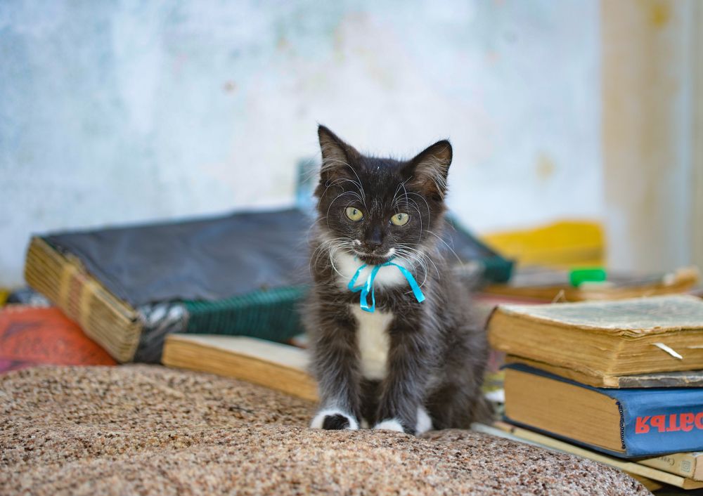 Photograph by Юрий Бичеров