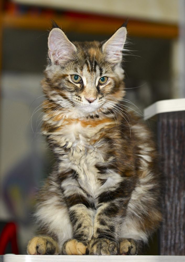 Photograph by Юрий Бичеров