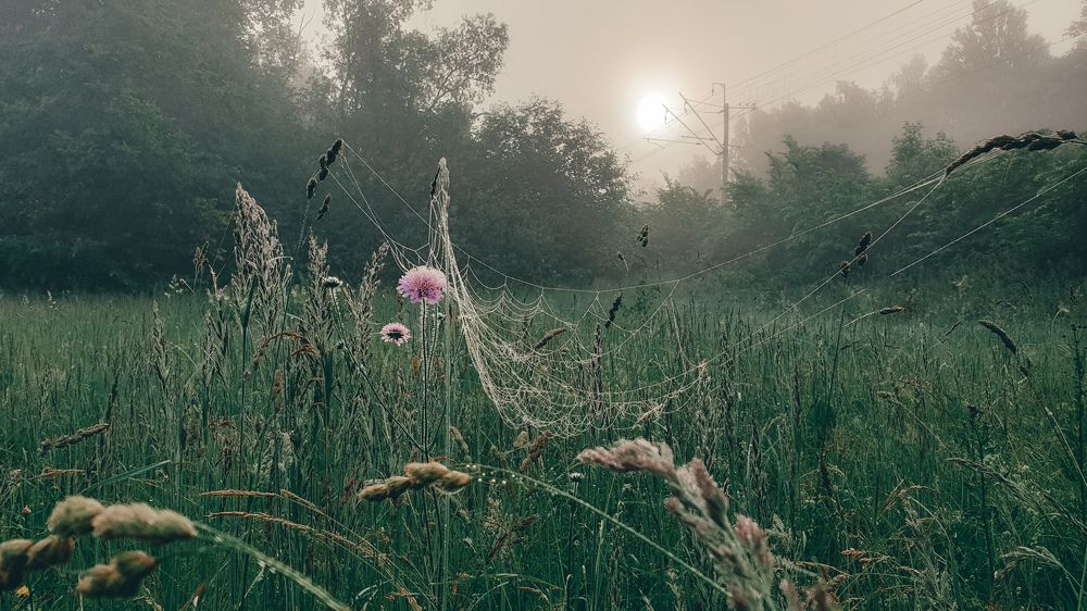 Photograph by Елена Маршавина