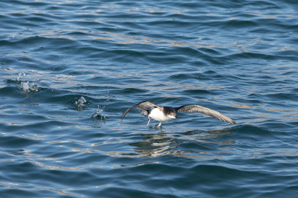 Photograph by Константин Шатилов