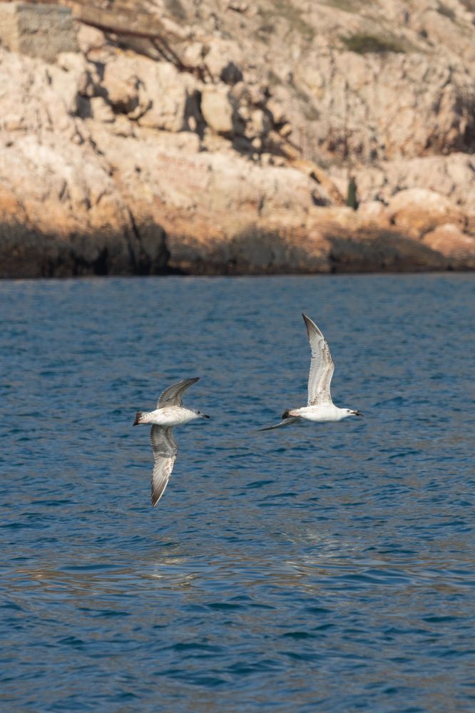 Photograph by Константин Шатилов