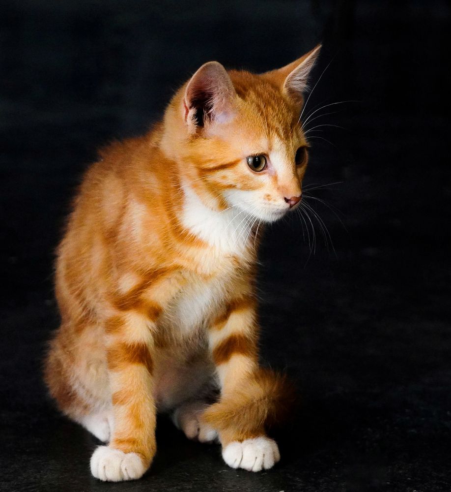 Photograph by Ольга Ларизадех