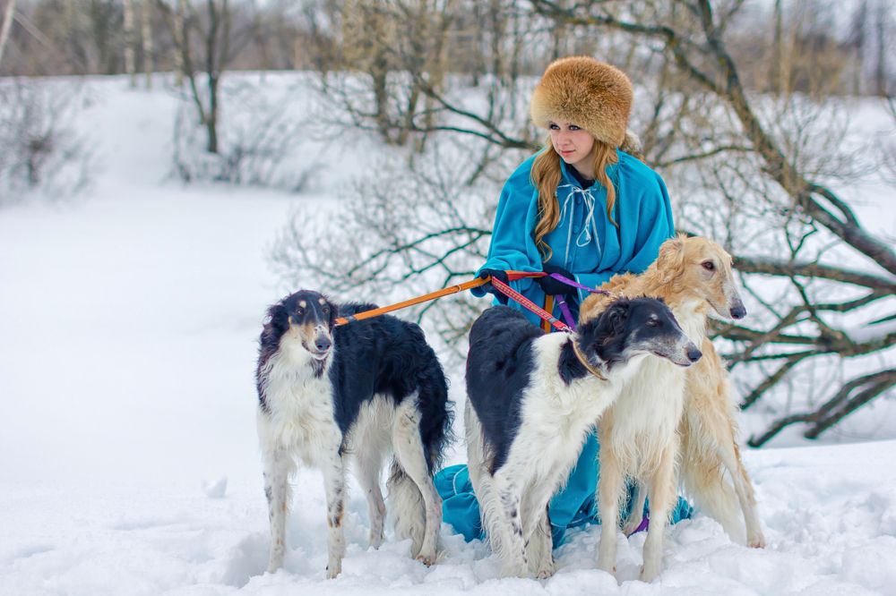 Фотография автора Анна Петина