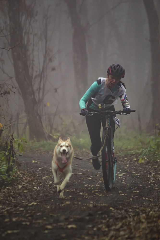 Photograph by Алексей Марченков