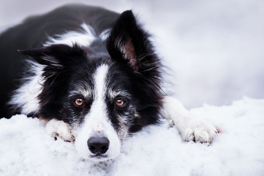 Photograph by Theresa Tietz