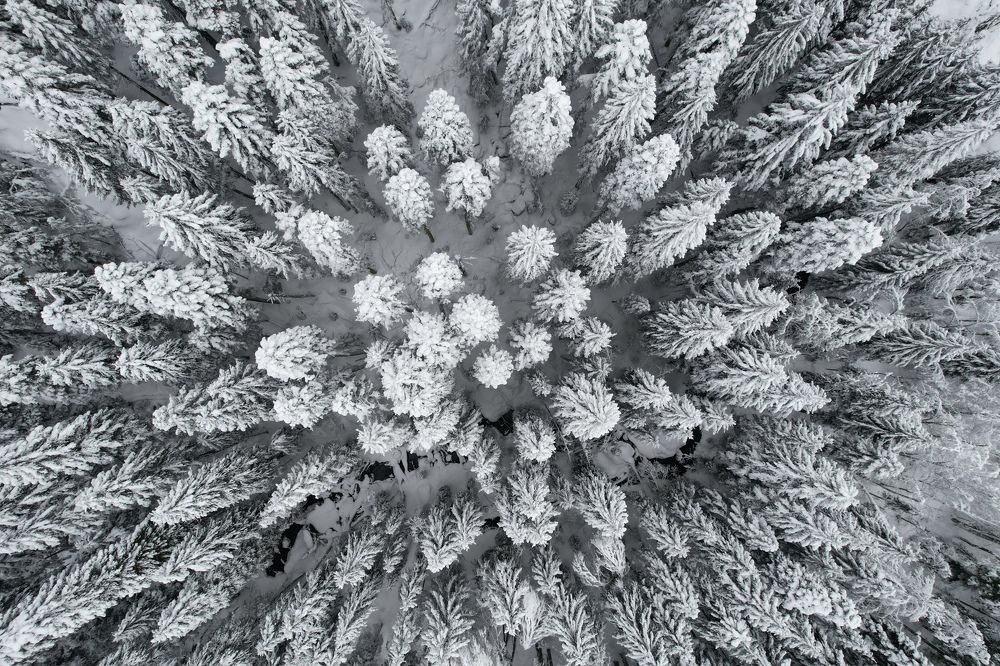 Photograph by Дмитрий Костяков