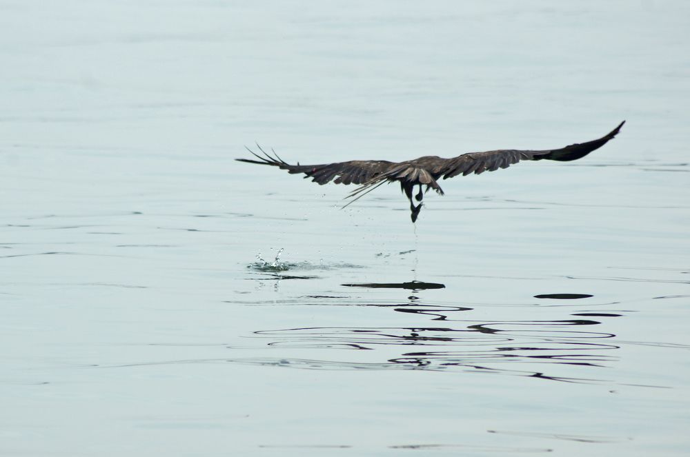 Photograph by Дмитрий Лобанов