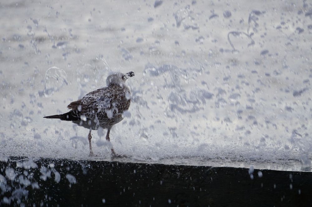 Photograph by Дмитрий Лобанов