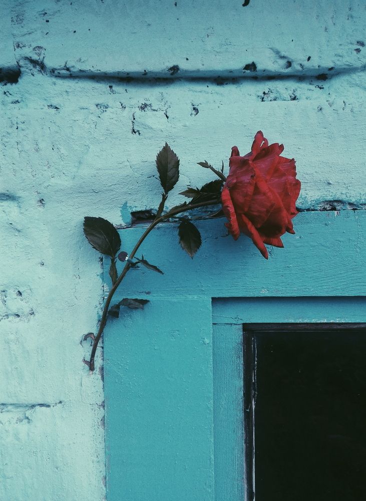 Photograph by Кристина