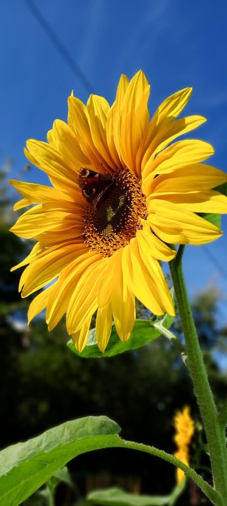 Photograph by Swetlana