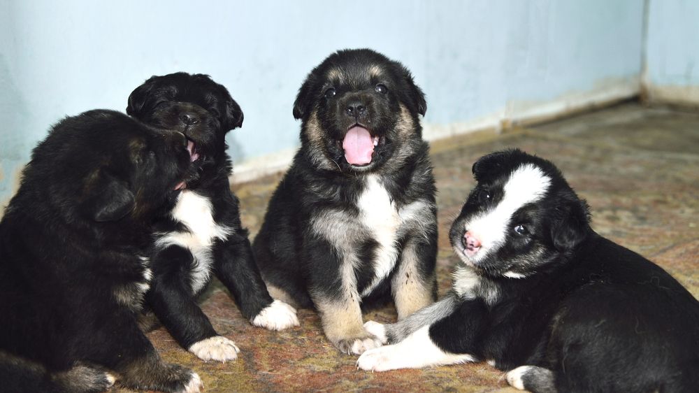 Photograph by Юрий Бичеров