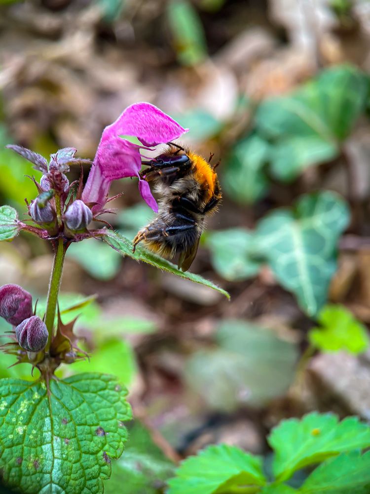 Photograph by Мария Чернецова