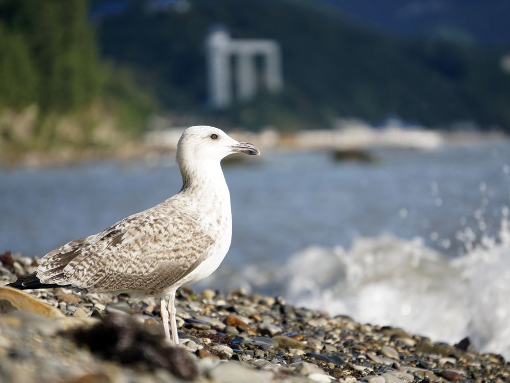 Photograph by Дмитрий Лобанов